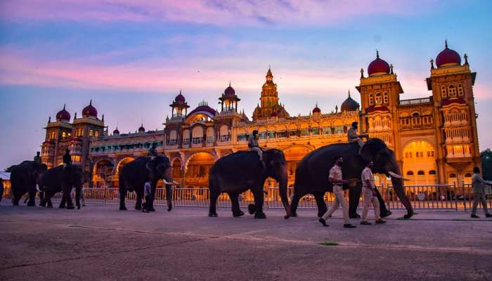 2024ನೇ ಸಾಲಿನ ದಸರಾದಲ್ಲಿ ಪಾಲ್ಗೊಳ್ಳುವ ಆನೆಗಳ ಪಟ್ಟಿ ಬಿಡುಗಡೆ: ಅಭಿಮನ್ಯು ಸೇರಿ 14 ಆನೆಗಳು ಭಾಗಿ title=