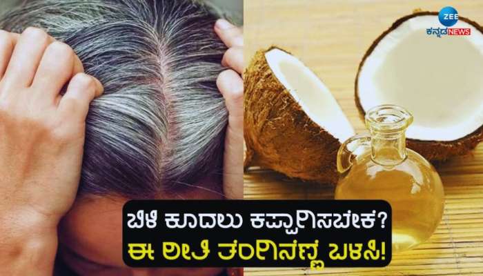 ತೆಂಗಿನೆಣ್ಣೆಯಲ್ಲಿ ಈ 3 ವಸ್ತುಗಳನ್ನು ಬೆರೆಸಿ ಹಚ್ಚಿದರೆ ಕ್ಷಣಾರ್ಧದಲ್ಲೇ ಕಡು ಕಪ್ಪಾಗುತ್ತೆ ಬಿಳಿ ಕೂದಲು 