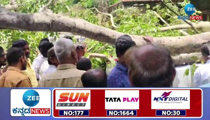 branch of a huge tree broke near DDPI office in Raichur and 3 cars were damaged