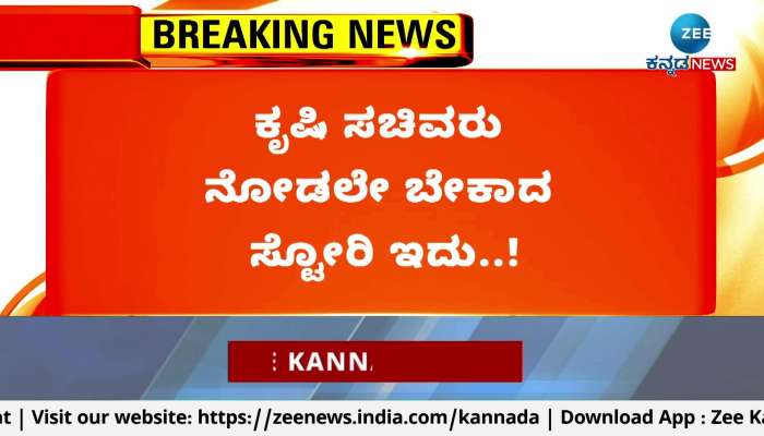 Poor sowing seed supply to the farmers in Haveri 