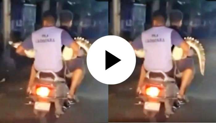 Viral video: ಬೈಕ್ ನಲ್ಲಿ ತಮ್ಮೊಂದಿಗೆ ಮೊಸಳೆಯನ್ನು ಜಾಲಿ ರೈಡ್ ಕರೆದೊಯ್ದ ಯುವಕರು..ಅಬ್ಬಬ್ಬಾ ಇವರ ಸಾಹಸವನ್ನು ಮೆಚ್ಚಲೆ ಬೇಕು title=