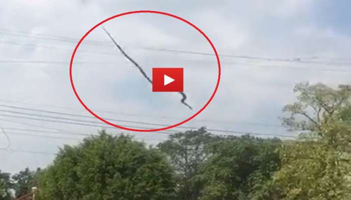 Flying Snake Video: ಹಾವು ಹಕ್ಕಿಯಂತೆ ಹಾರಾಡುವುದನ್ನು ನೋಡಿದ್ದೀರಾ? ಇಲ್ಲವಾದರೆ ಚಾಲಾಕಿ ಸರ್ಪದ ಈ ವಿಡಿಯೋ ನೋಡಿ… ಬಲು ಅಪರೂಪದ ದೃಶ್ಯವಿದು  title=