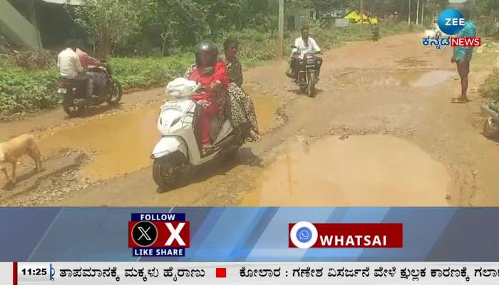 Outrage by planting rice paddy on the road itself