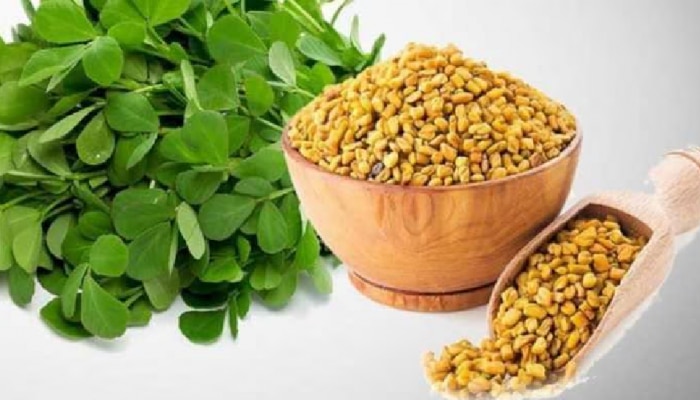 Fenugreek Benefits: ಪುರುಷರ ಲೈಂಗಿಕ ಬಯಕೆ ಹೆಚ್ಚಿಸುವ ಮೆಂತ್ಯಕಾಳು;ಪ್ರತಿದಿನ ಅರ್ಧ ಚಮಚ ಸೇವಿಸಿ