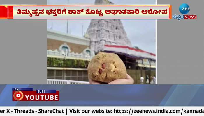 Use of animal fat in Tirupati Laddu: Andhra CM makes serious allegation