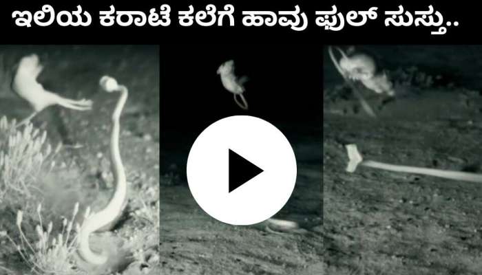 Viral video: "ವಾಟ್ ಆ ಶಾಟ್" ಇಲಿಯ ಕರಾಟೆ ಕಲೆಗೆ ಬೇಟೆ ಆಡಲು ಬಂದ ಹಾವು ಫುಲ್ ಸುಸ್ತು..ವಿಡಿಯೋ ನೋಡಿ ಸಖತ್ ಮಸ್ತು title=