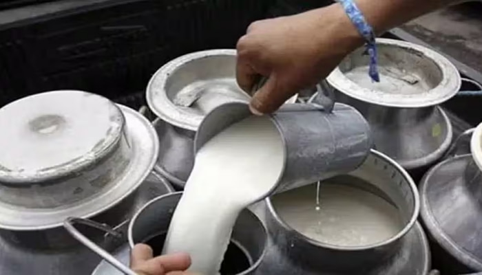 Milk Purity: ನೀವು ಕುಡಿಯುತ್ತಿರುವ ಹಾಲು ನಕಲಿ ಅಥವಾ ಅಸಲಿಯೇ? ಹೀಗೆ ಕಂಡು ಹಿಡಿಯಿರಿ title=