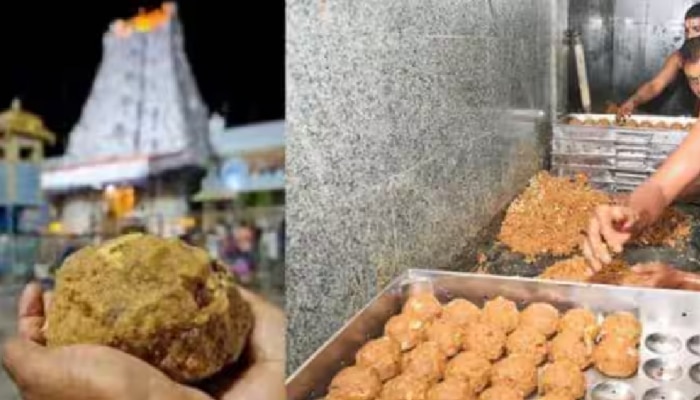 ತಿರುಪತಿ ಲಡ್ಡು ಪ್ರಕರಣ: ಅಕ್ಟೋಬರ್ 3 ರವರೆಗೆ ಎಸ್‌ಐಟಿ ವಿಚಾರಣೆಗೆ ತಡೆ title=