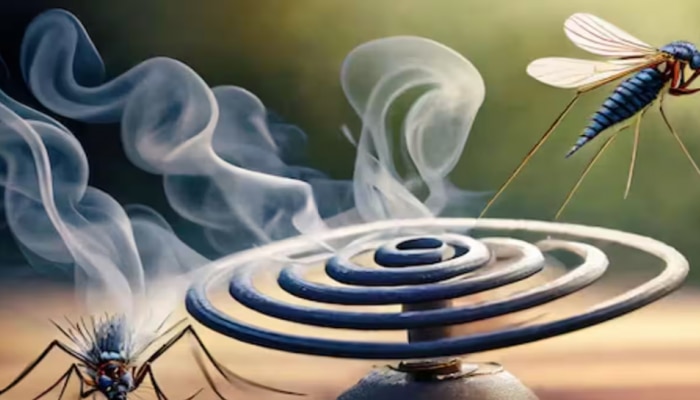  Mosquito Coil: ನಿಮಗೆ ಈ ಸಂಗತಿ ತಿಳಿದಿದ್ದರೆ ಅಪ್ಪಿತಪ್ಪಿಯೂ ಮನೆಯಲ್ಲಿ Mosquito Coil ಇಡಬೇಡಿ..! title=