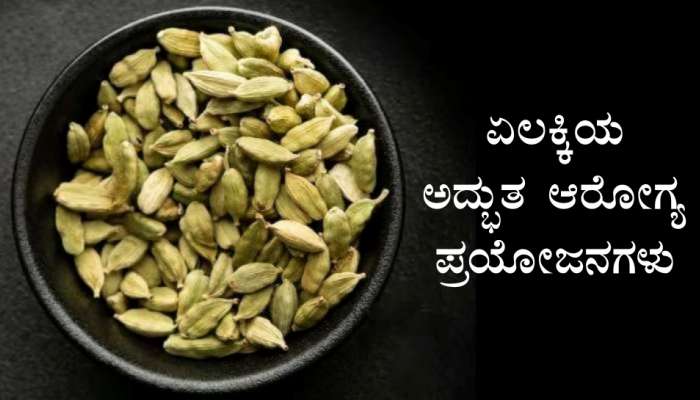 ಕ್ಯಾನ್ಸರ್ ಸೇರಿದಂತೆ ಈ 6 ರೋಗಗಳ ಶತ್ರು... ಏಲಕ್ಕಿಯ ಅದ್ಭುತ ಪ್ರಯೋಜನಗಳು ಇಲ್ಲಿವೆ..!