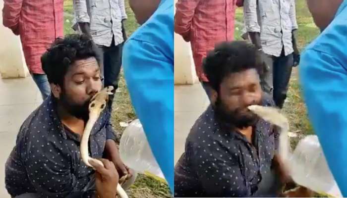 Viral Video: ಹಾವಿನ ಜೊತೆ ಯುವಕನ ಚೆಲ್ಲಟ.! ಮುಂದೆ ಆಗಿದ್ದೇನು ಗೊತ್ತಾ..? ವಿಡಿಯೋ ನೋಡಿ title=