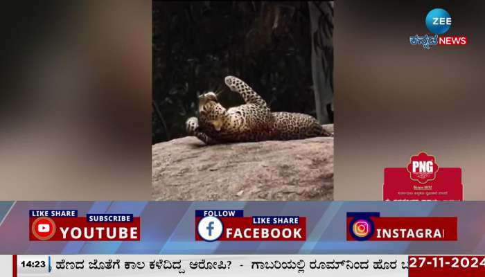 Leopard sighted in Turahalli forest area