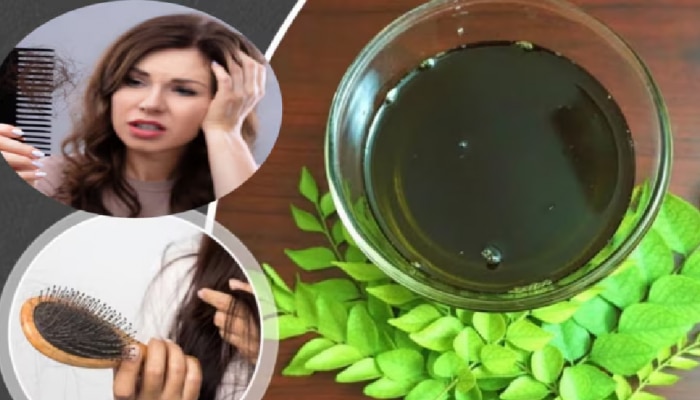 Tips for healthy hair: ಕೂದಲು ಉದುರುವ ಸಮಸ್ಯೆಯನ್ನ ಹೋಗಲಾಡಿಸಲು ಈ ಎಲೆಗಳನ್ನ ಬಳಸಿ