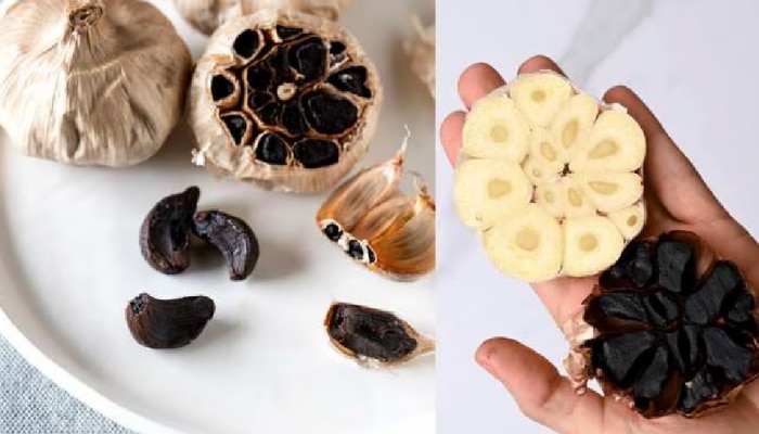 Black garlic: ಕಪ್ಪು ಬೆಳ್ಳುಳ್ಳಿ ಸೇವಿಸಿದ್ರೆ ಹೃದಯದ ಆರೋಗ್ಯ &amp; ರೋಗ ನಿರೋಧಕ ಶಕ್ತಿ ಹೆಚ್ಚುತ್ತೆ!! 