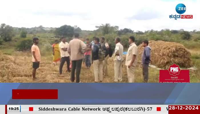 Wild elephants enter farmer's field