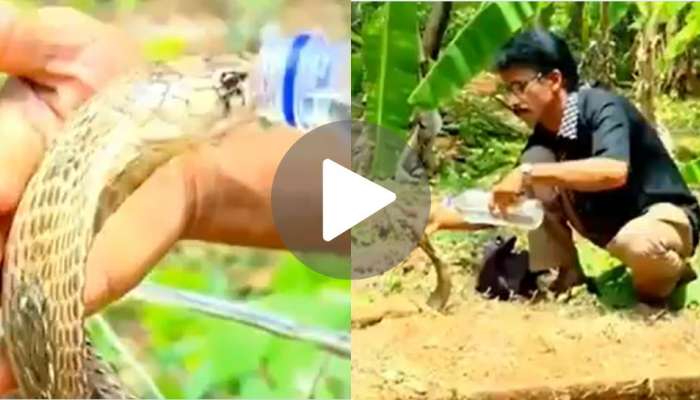 Viral Video: ಭಾಯಾರಿಕೆಯಿಂದ ದಣಿದಿದ್ದ ಹಾವಿಗೆ ನೀರುಣಿಸಿದ ಭೂಪ.. ಋಣವನ್ನು ಮರೆಯದೆ ಸರ್ಪ ಮಾಡಿದ್ದೇನು ಗೊತ್ತಾ... title=