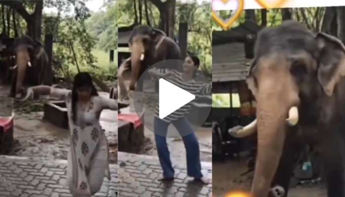 Viral video: ಹುಡಿಗಿಯರ ನೃತ್ಯ ನೋಡಿ.. ಭರತನಾಟ್ಯವಾಡಿದ ಆನೆ! ನಮ್ಮ ನಿಮ್ಮಲ್ಲಿಯೂ ಈ ಕಲೆ ಇರೋಕೆ ಚ್ಯಾನ್ಸ್‌ ಇಲ್ಲ ಗುರು! title=