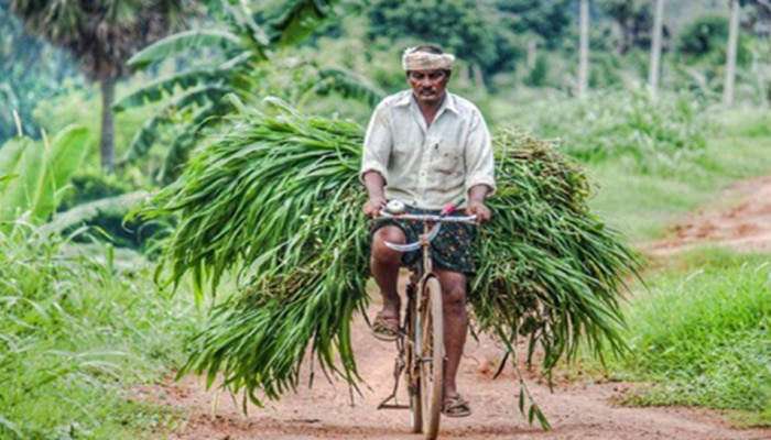  9.8 ಕೋಟಿ ರೈತರಿಗೆ ಗುಡ್ ನ್ಯೂಸ್ ನೀಡಿದ ಕೇಂದ್ರ ಸರ್ಕಾರ..! ಏನಿದು ಗೊತ್ತಾ ಈ ಹೊಸ ಅಪ್ಡೇಟ್..? title=