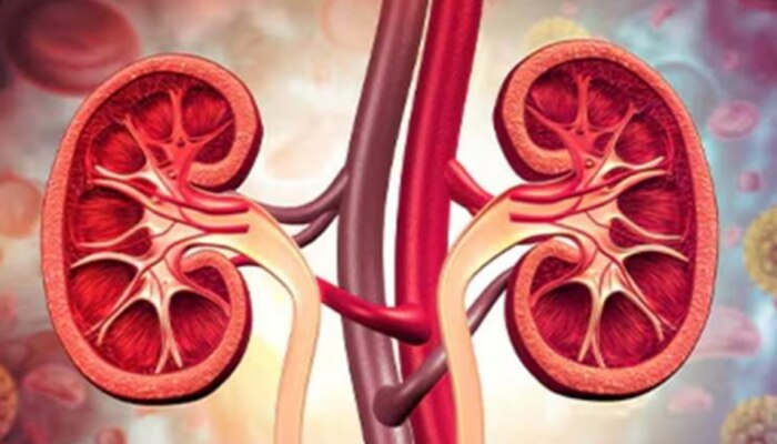  World Kidney Day 2025: ಮಕ್ಕಳಲ್ಲಿ ಹೆಚ್ಚುತ್ತಿರುವ ಕಿಡ್ನಿ ಸಮಸ್ಯೆಗೆ ಕಾರಣವೇನು ಗೊತ್ತಾ.? title=