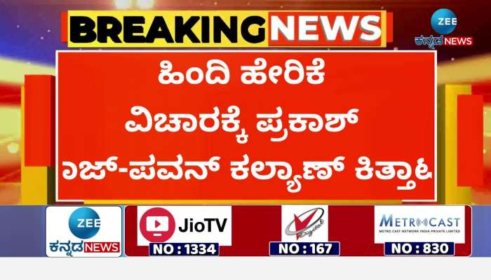 Andhra DCM Pawan Kalyan statement