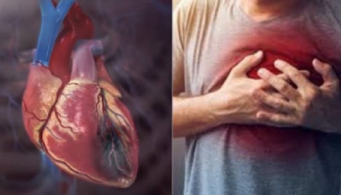 Heart Attack: ಈ ಒಂದೇ ಒಂದು ಟೆಸ್ಟ್‌ನಿಂದ ಹೃದ್ರೋಗಗಳನ್ನು ಮೊದಲೇ ಪತ್ತೆ ಹಚ್ಚಬಹುದು