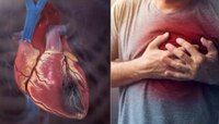 Heart Attack: ಈ ಒಂದೇ ಒಂದು ಟೆಸ್ಟ್‌ನಿಂದ ಹೃದ್ರೋಗಗಳನ್ನು ಮೊದಲೇ ಪತ್ತೆ ಹಚ್ಚಬಹುದು
