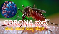 ಕರುನಾಡಲ್ಲಿ ನೂರರ ಗಡಿ ದಾಟಿದ ಕೊರೋನಾ: ಕೋವಿಡ್-19 ನಡುವೆ ಡೆಂಘಿ, ಚಿಕುನ್ ಗುನ್ಯಾ ಟೆನ್ಷನ್