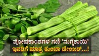 ಪೋಷಕಾಂಶಗಳ ಗಣಿ 'ನುಗ್ಗೆಕಾಯಿ': ಈ ನಾಲ್ವರಿಗೆ ಮಾತ್ರ ತುಂಬಾ ಡೇಂಜರ್