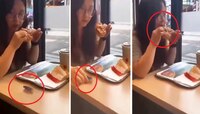 Viral Video: ಓಡುತ್ತಿರುವ ಜಿರಳೆ ಹಿಡಿದು ಬರ್ಗರ್‌ನಲ್ಲಿ ಹಾಕಿ ತಿಂದ ಯುವತಿ!! ವಿಡಿಯೋ ವೈರಲ್