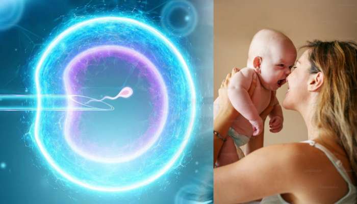 ದಾನಿಗಳ ಮೂಲಕ IVF ನಿಂದ ಹುಟ್ಟುವ ಮಗುವಿನ ಅಪ್ಪನ ಹೆಸರು ದಾಖಲೆಗಳಲ್ಲಿ ಏನಿರುತ್ತೆ?