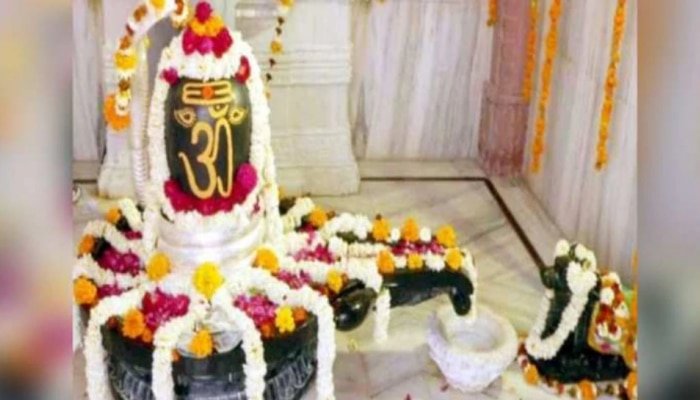 Mahashivaratri 2021 : ಮಹಾಶಿವರಾತ್ರಿಯಂದು ಶಿವನ ಕೃಪೆಗೆ ಪಾತ್ರರಾಗಲು ಹೀಗೆ ಮಾಡಿ..!