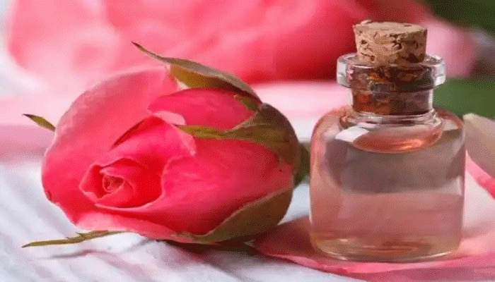 Rose Water: ಚರ್ಮಕ್ಕೆ ಪ್ರಯೋಜನಕಾರಿ ರೋಸ್ ವಾಟರ್  