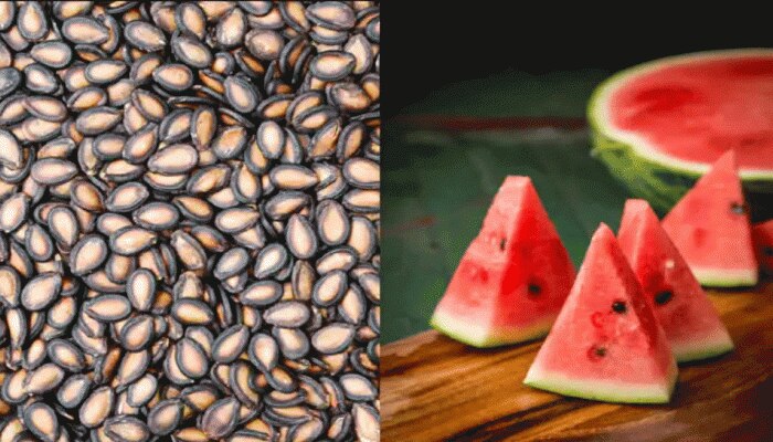 Watermelon Seeds Benefits:ಕಲ್ಲಂಗಡಿ ಬೀಜಗಳ ಪ್ರಯೋಜನಗಳನ್ನು ತಿಳಿದರೆ ನೀವು ಎಂದಿಗೂ ಅದನ್ನು ಎಸೆಯುವುದಿಲ್ಲ 
