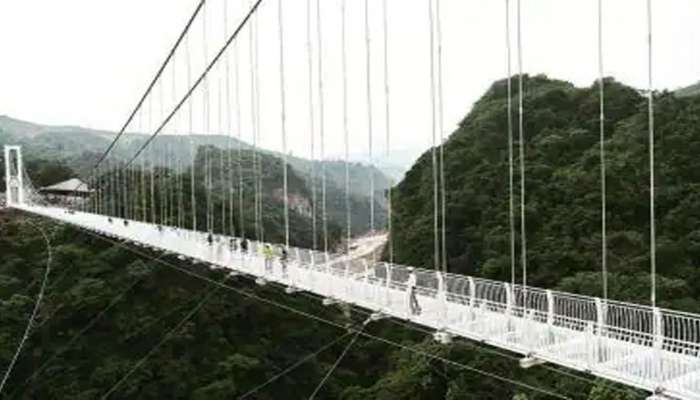 Longest Bridge: ಇದು ವಿಶ್ವದ ಅತಿ ಉದ್ದದ ಗಾಜಿನ ಸೇತುವೆ
