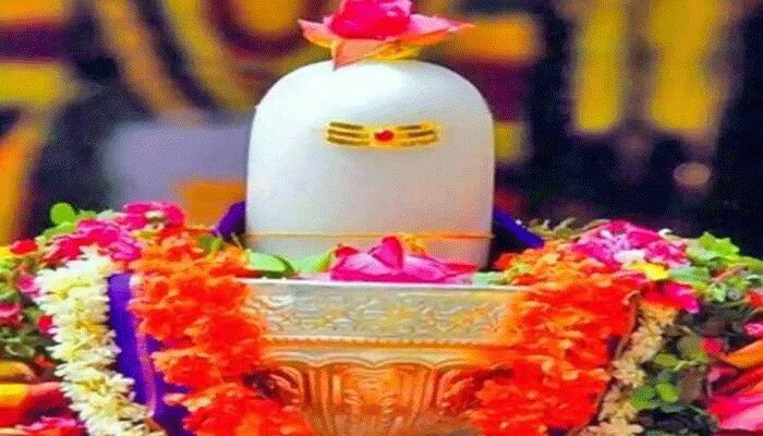 Maha Shivratri 2022: ಮಹಾಶಿವರಾತ್ರಿ ದಿನ ಶಿವಲಿಂಗದ ಮೇಲೆ ತಪ್ಪಿಯೂ ಈ  ವಸ್ತುಗಳನ್ನು ಅರ್ಪಿಸಬಾರದು 