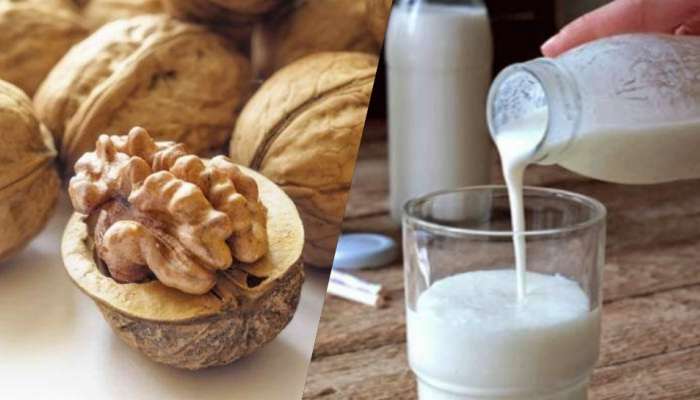 Benefits of Walnut Milk: ಆರೋಗ್ಯದ ಗಣಿ ಈ ವಾಲ್‌ನಟ್ ಮಿಲ್ಕ್..‌ ಇಲ್ಲಿದೆ ತಯಾರಿಸುವ ವಿಧಾನ