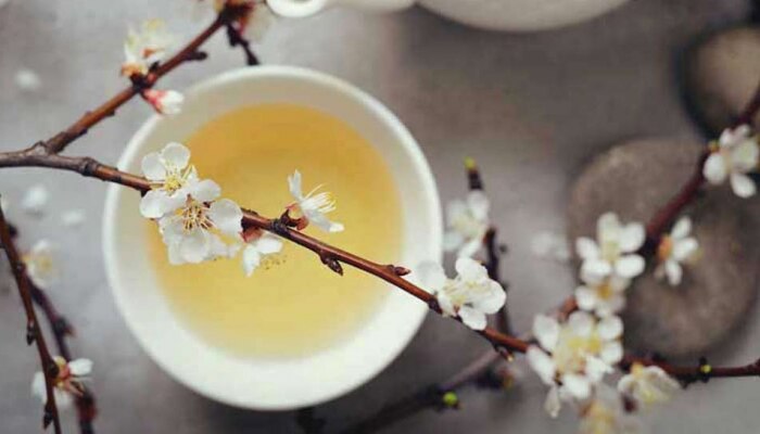 White Tea Benefits: ನೀವು ಎಂದಾದರು ವೈಟ್ ಟೀ ಟ್ರೈ ಮಾಡಿದ್ದೀರಾ? ಅದರ ಲಾಭಗಳು ಇಲ್ಲಿವೆ