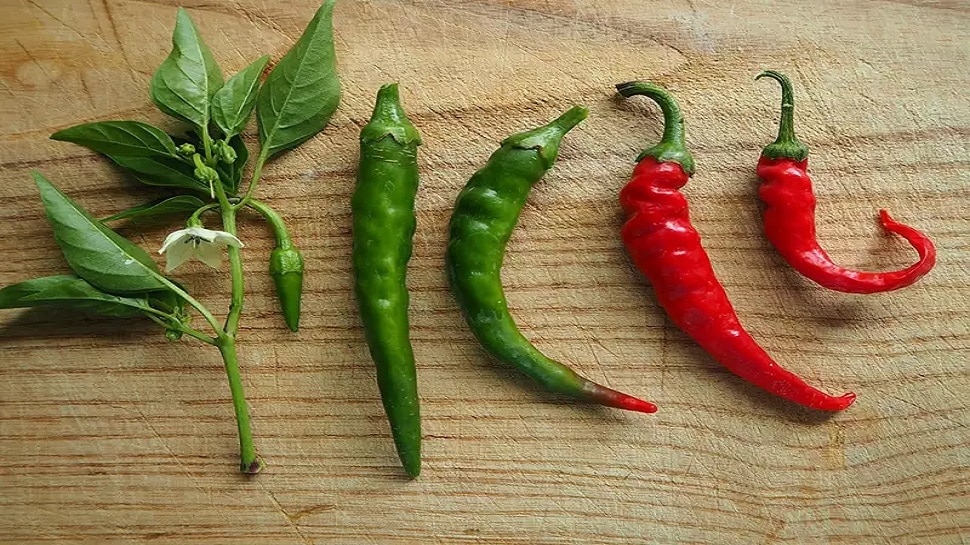 green-chillies-can-help-you-lose-weight-in-just-7-days-weight-loss